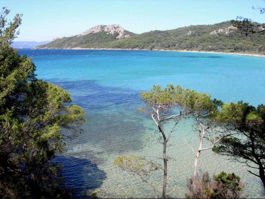 Superbe T2 Proche Des Plages Et Des Commerces Hyères Exteriör bild